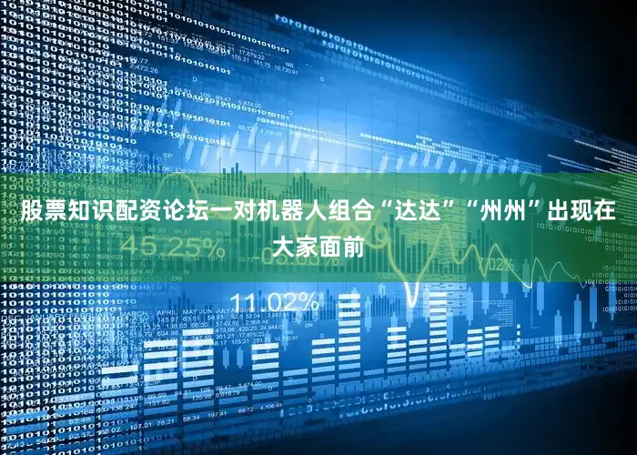 股票知识配资论坛一对机器人组合“达达”“州州”出现在大家面前
