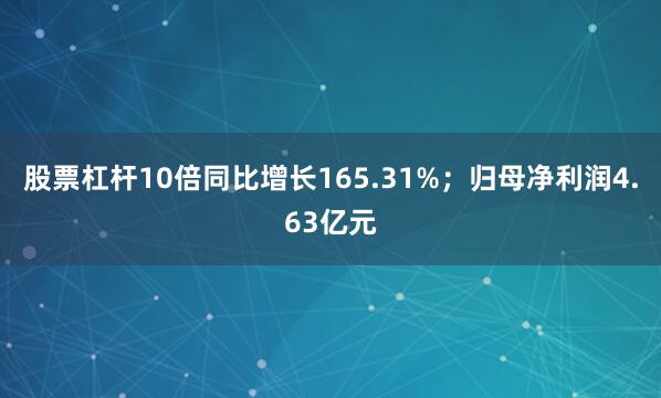 股票杠杆10倍同比增长165.31%；归母净利润4.63亿元