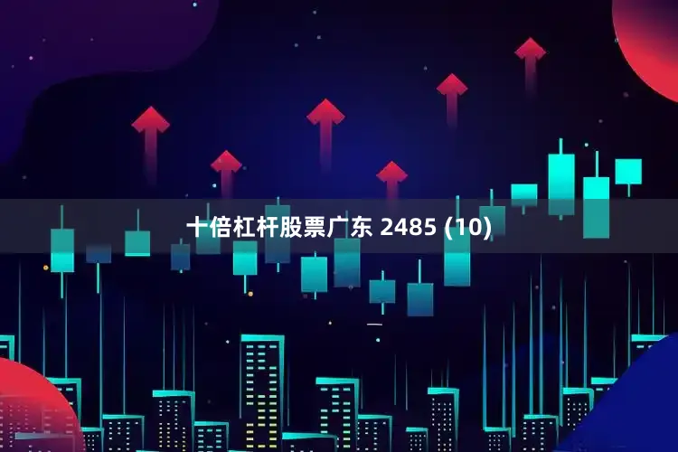 十倍杠杆股票广东 2485 (10)