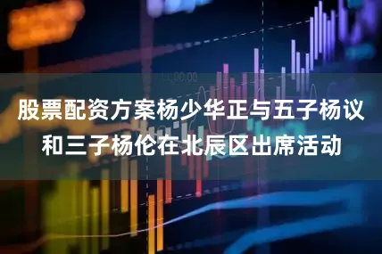 股票配资方案杨少华正与五子杨议和三子杨伦在北辰区出席活动