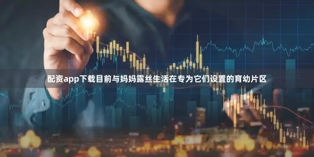 配资app下载目前与妈妈露丝生活在专为它们设置的育幼片区